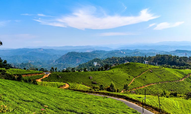 munnar